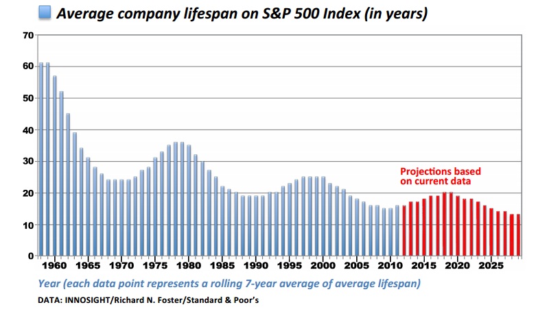 Average company lifespan on S&P 500